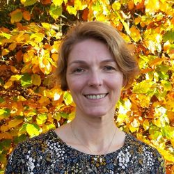 Bild von Stefanie Scholmann